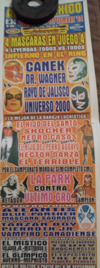 source: http://www.thecubsfan.com/cmll/images/Checked/2013-09-15%2023.44.51.jpg