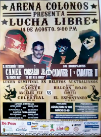 source: http://boxylucha.com/wp-content/uploads/2015/08/Canek-sureste.jpg