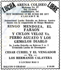 source: http://www.thecubsfan.com/cmll/images/cards/19770612acg.PNG