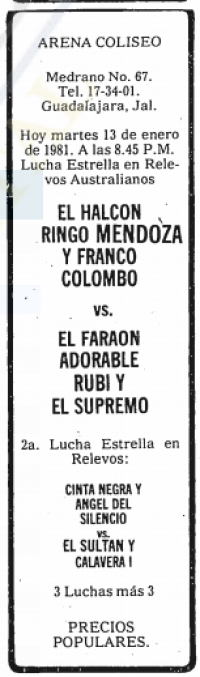 source: http://www.thecubsfan.com/cmll/images/cards/19810113acg.PNG