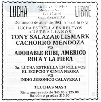 source: http://www.thecubsfan.com/cmll/images/cards/19810405acg.PNG
