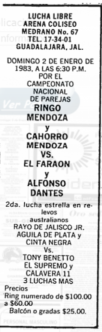 source: http://www.thecubsfan.com/cmll/images/cards/19830102acg.PNG