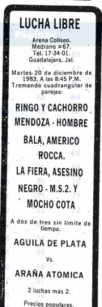 source: http://www.thecubsfan.com/cmll/images/cards/19831220acg.PNG