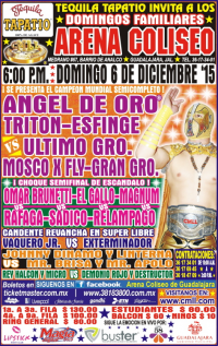 source: http://cmll.com/wp-content/uploads/2015/04/GDL-01.jpg