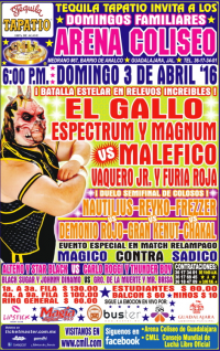 source: http://cmll.com/wp-content/uploads/2015/04/domingo019.jpg