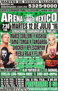 source: http://cmll.com/wp-content/uploads/2015/04/martes19.jpg