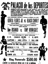 source: http://www.thecubsfan.com/cmll/images/cards/1985Laguna/19860601palacio.png