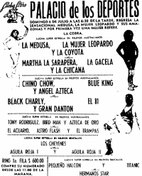 source: http://www.thecubsfan.com/cmll/images/cards/1985Laguna/19860706palacio.png