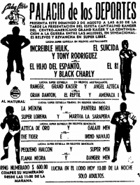 source: http://www.thecubsfan.com/cmll/images/cards/1985Laguna/19860803palacio.png