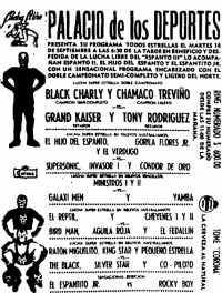 source: http://www.thecubsfan.com/cmll/images/cards/1985Laguna/19860916palacio.png