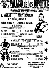 source: http://www.thecubsfan.com/cmll/images/cards/1985Laguna/19860928palacio.png