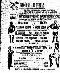 source: http://www.thecubsfan.com/cmll/images/cards/1985Laguna/19870412palacio.png