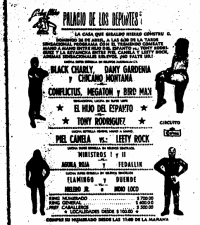 source: http://www.thecubsfan.com/cmll/images/cards/1985Laguna/19870426palacio.png