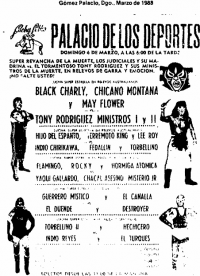 source: http://www.thecubsfan.com/cmll/images/cards/1985Laguna/19880306palacio.png