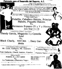 source: http://www.thecubsfan.com/cmll/images/cards/1985Laguna/19880916palacio.png