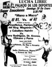 source: http://www.thecubsfan.com/cmll/images/cards/1985Laguna/19890129palacio.png