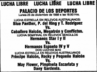 source: http://www.thecubsfan.com/cmll/images/cards/1985Laguna/19891225palacio.png