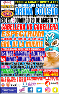 source: http://cmll.com/wp-content/uploads/2017/08/gdl.jpg