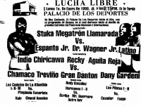 source: http://www.thecubsfan.com/cmll/images/cards/1990Laguna/19900101palacio.png