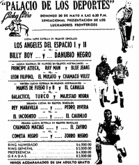 source: http://www.thecubsfan.com/cmll/images/cards/1990Laguna/19900520palacio.png