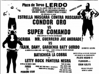 source: http://www.thecubsfan.com/cmll/images/cards/1990Laguna/19900624lerdo.png