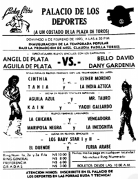 source: http://www.thecubsfan.com/cmll/images/cards/1990Laguna/19930207palacio.png