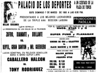 source: http://www.thecubsfan.com/cmll/images/cards/1990Laguna/19930307palacio.png