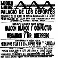 source: http://www.thecubsfan.com/cmll/images/cards/1990Laguna/19930725palacio.png