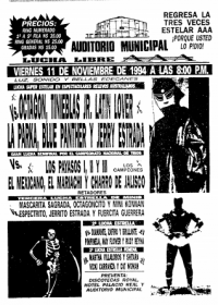 source: http://www.thecubsfan.com/cmll/images/cards/1990Laguna/19941106auditorio.png