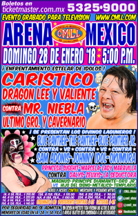 source: http://cmll.com/wp-content/uploads/2014/01/domingo-1.jpg