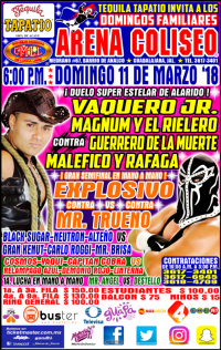 source: http://cmll.com/wp-content/uploads/2018/03/gdl.jpg