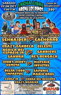 source: https://www.luchaworld.com/wordpress/wp-content/uploads/2022/10/arena-los-pinos-102222.jpg