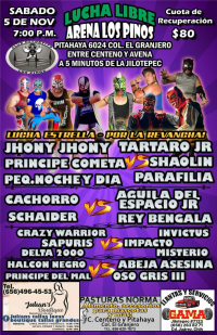 source: https://www.luchaworld.com/wordpress/wp-content/uploads/2022/11/arena-los-pinos-110522.jpg