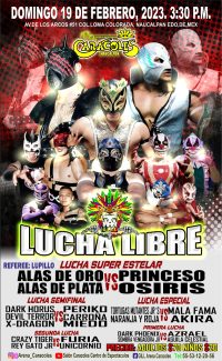 source: https://www.luchaworld.com/wordpress/wp-content/uploads/2023/02/arena-caracoles-021923.jpg